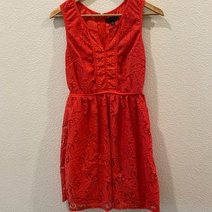 Jodi Kristopher Sleeve Lace Dress